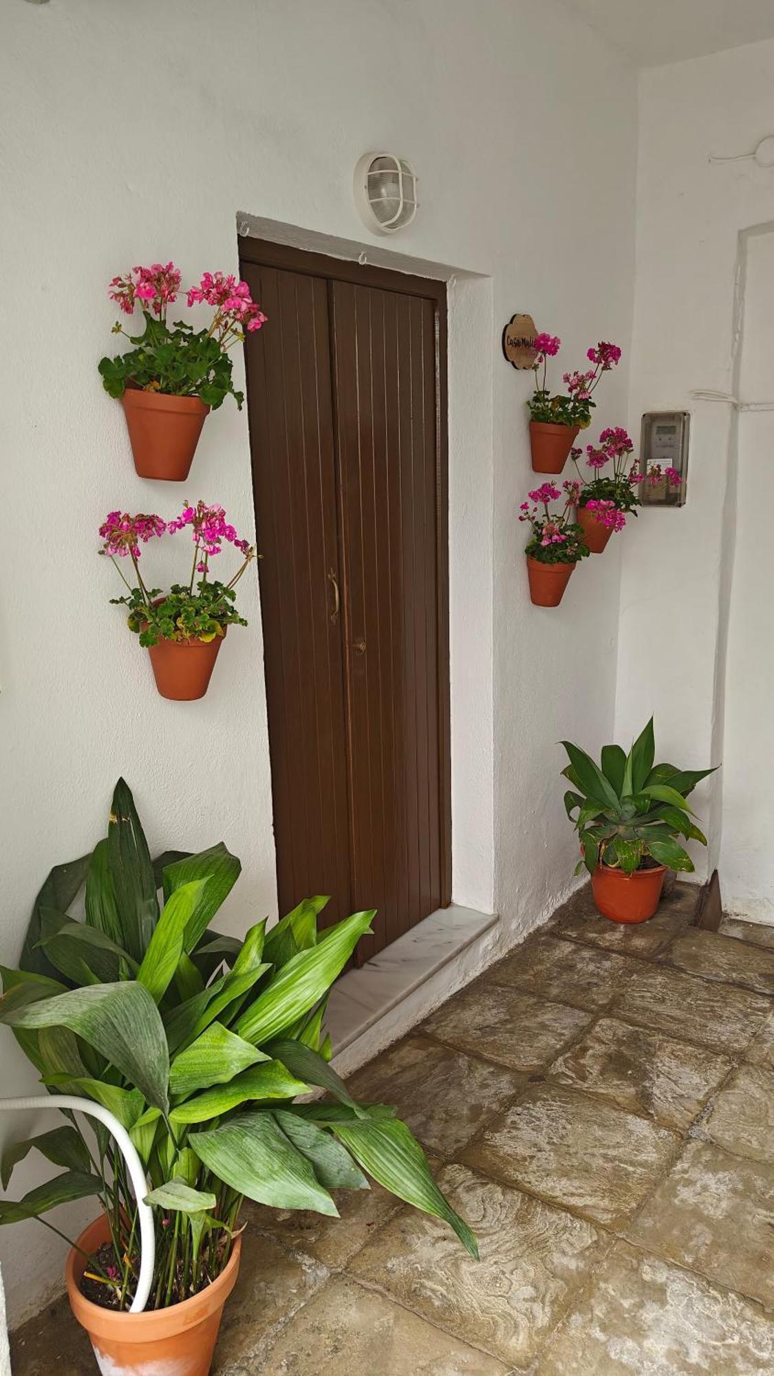 Casa Malia Apartamento Recien Reformado En Centro Vejer de la Frontera Eksteriør billede